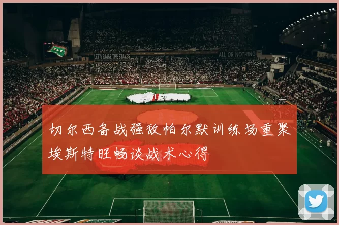 切尔西备战强敌帕尔默训练场重聚埃斯特旺畅谈战术心得