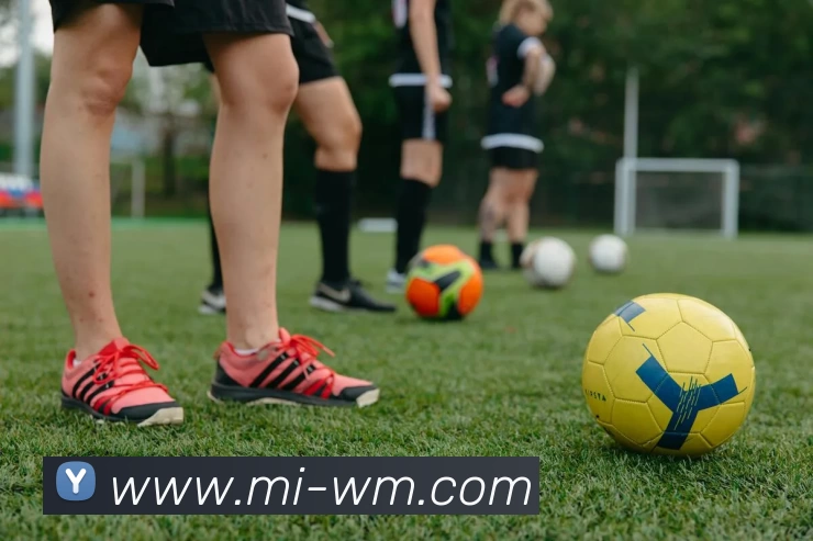 多媒体互动体验