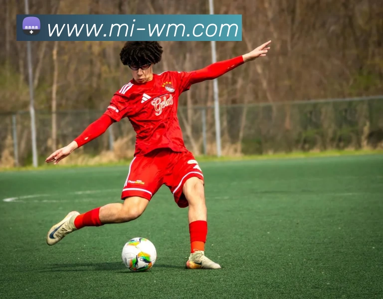 完美体育APP 高清赛事图