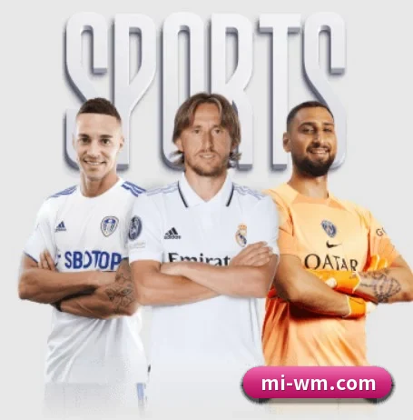 从比分速递到赛后复盘的完整链路(WMsports)